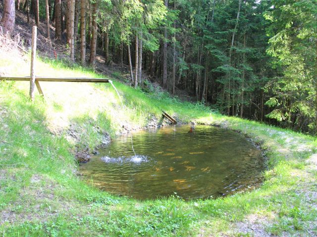 Almhütte in Stein an der Enns  GUM-STM